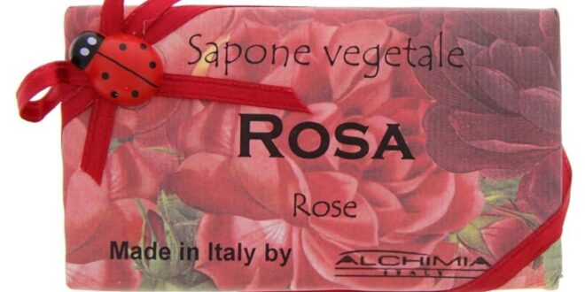 Alchimia Vegetale Spagyrica: L’Antica Arte di Estrarre l’Anima delle Piante