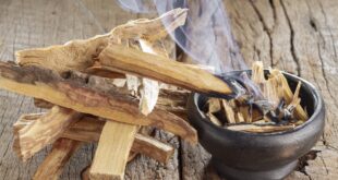 Palo Santo e Salvia Bianca: Purificare l’Energia degli Ambienti
