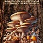 Micoterapia: Il Potere Curativo dei Funghi Medicinali Spiegato
