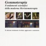 Gemmoterapia: L’Energia Vitale delle Gemme per la Tua Salute