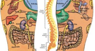 Riflessologia Plantare: La Mappa Completa del Tuo Corpo Sotto i Piedi