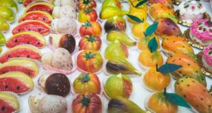 Osteopatia Viscerale: Manipolazioni Dolci per la Salute degli Organi