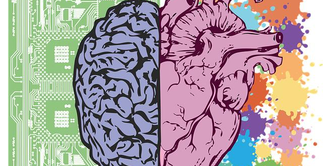 Equilibrio Acido-Base: Verità e Falsi Miti sull’Alimentazione Alcalina