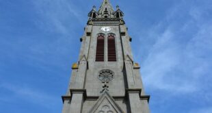 Cimatica: La Scienza delle Onde Sonore che Modellano la Materia