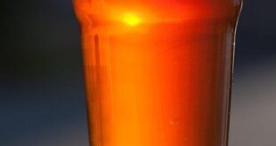 Psicobiotica: Come i Fermenti Lattici Influenzano Davvero l’Umore