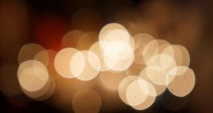 Il Nervo Vago: La Chiave d’Accesso al Rilassamento del Sistema Nervoso