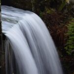 Drenaggio Linfatico Manuale: Oltre l’Estetica, un Gesto per l’Immunità