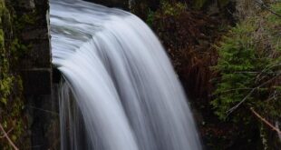 Drenaggio Linfatico Manuale: Oltre l’Estetica, un Gesto per l’Immunità