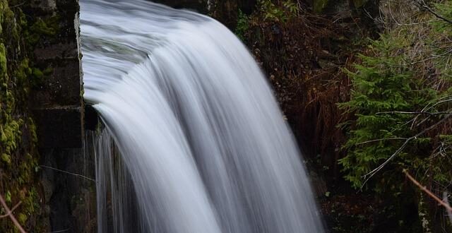 Drenaggio Linfatico Manuale: Oltre l’Estetica, un Gesto per l’Immunità