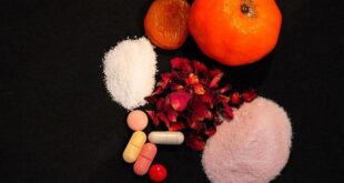 Analisi del Mineralogramma: Cosa Dicono i Capelli della Tua Nutrizione