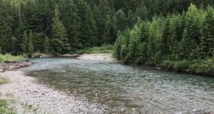 PNL e Salute: Come le Parole che Usi Influenzano il Tuo Corpo