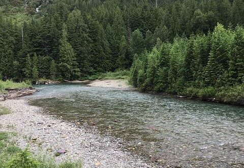 PNL e Salute: Come le Parole che Usi Influenzano il Tuo Corpo