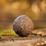 Grounding (o Earthing): La Scienza del Contatto con la Terra