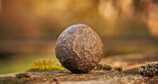 Grounding (o Earthing): La Scienza del Contatto con la Terra