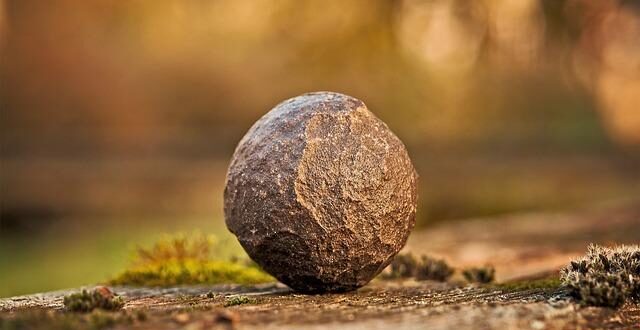 Grounding (o Earthing): La Scienza del Contatto con la Terra