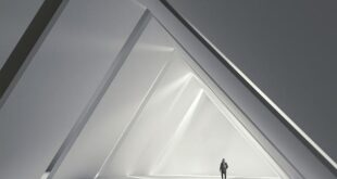 Dieta GAPS: Un Protocollo Nutrizionale per Intestino e Cervello