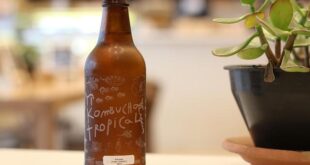 Kombucha: Guida Completa alla Bevanda Fermentata Piena di Benefici
