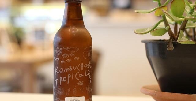 Kombucha: Guida Completa alla Bevanda Fermentata Piena di Benefici