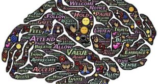 Neuroplasticità: Come Riprogrammare il Tuo Cervello a Qualsiasi Età