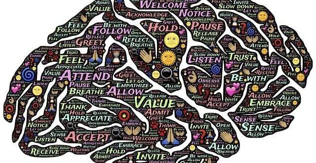 Neuroplasticità: Come Riprogrammare il Tuo Cervello a Qualsiasi Età