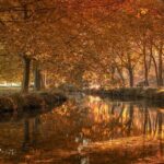 La Finestra Anabolica: Mito o Realtà per il Recupero dell’Atleta?