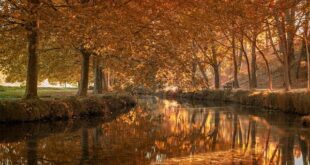 La Finestra Anabolica: Mito o Realtà per il Recupero dell’Atleta?