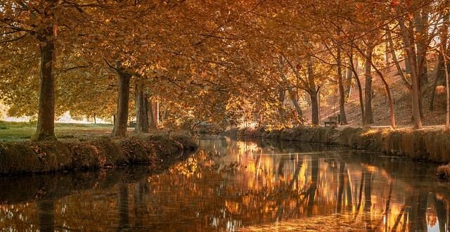 La Finestra Anabolica: Mito o Realtà per il Recupero dell’Atleta?