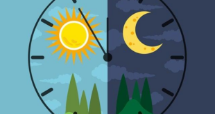 Cronobiologia: Sincronizza i Tuoi Pasti con l’Orologio del Corpo