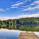 Forest Bathing (Shinrin-yoku): La Terapia Scientifica del Bagno nella Foresta