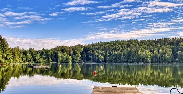 Forest Bathing (Shinrin-yoku): La Terapia Scientifica del Bagno nella Foresta