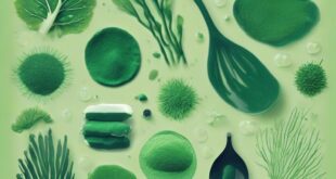 Spirulina e clorella: le alghe detox ricche di clorofilla e minerali