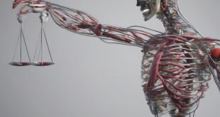 Bioenergetica di Lowen: sciogliere le armature muscolari ed emotive