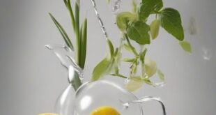 Aromaterapia e oli essenziali: come influenzano il sistema limbico
