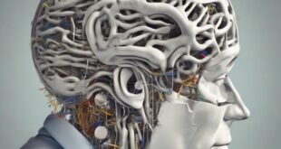 CBT: come la terapia cognitivo-comportamentale gestisce l’ansia