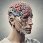 Terapia della parola: come la psicoterapia modifica le connessioni neurali