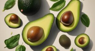 I benefici dell’avocado: grassi sani per la salute del cervello