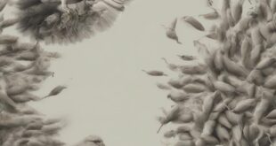 Cicatrizzazione rapida: i rimedi naturali per rigenerare i tessuti