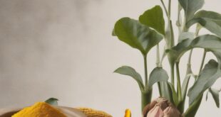 Curcuma e piperina: l’accoppiata vincente per l’assorbimento totale